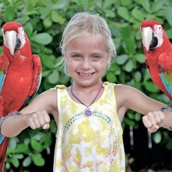 Go City Orlando: All Inclusive Pass with 30+ Attractions including LEGOLAND® - 2