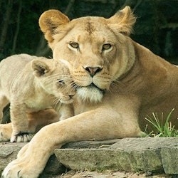 Go City Philadelphia: Explorer Pass with 3 to 7 Attractions - 3