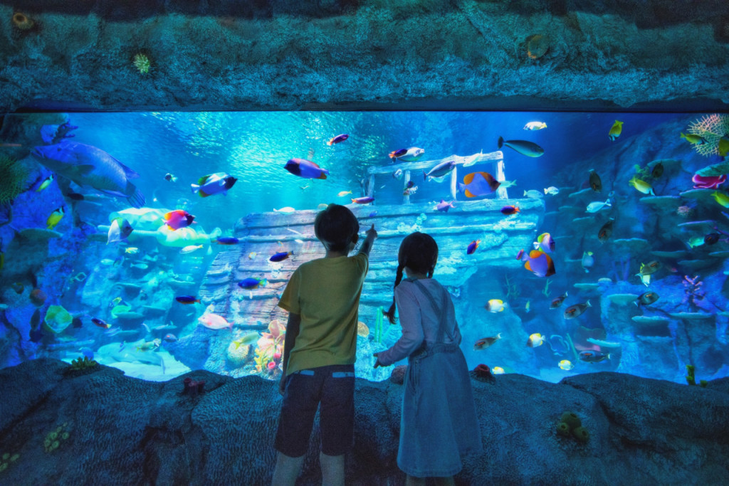 Go City Singapore Explorer Pass: Save up to 50% on Attractions (Go City Singapore Explorer Pass - 5 Choices) - 1