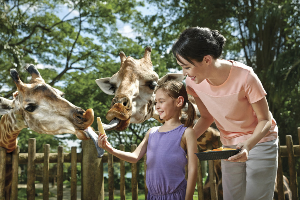 Go City Singapore Explorer Pass: Save up to 50% on Attractions (Go City Singapore Explorer Pass - 6 Choices) - 2