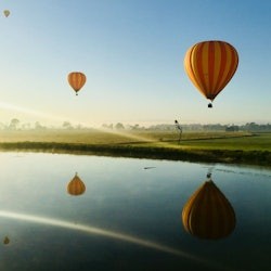 Gold Coast: Hot Air Balloon Experience + Drink - 2