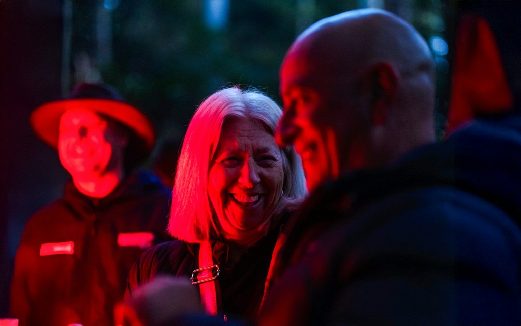 Gold Coast: Mt Tamborine Rainforest Night Walk with Glow Worms & Waterfall (General) - 3