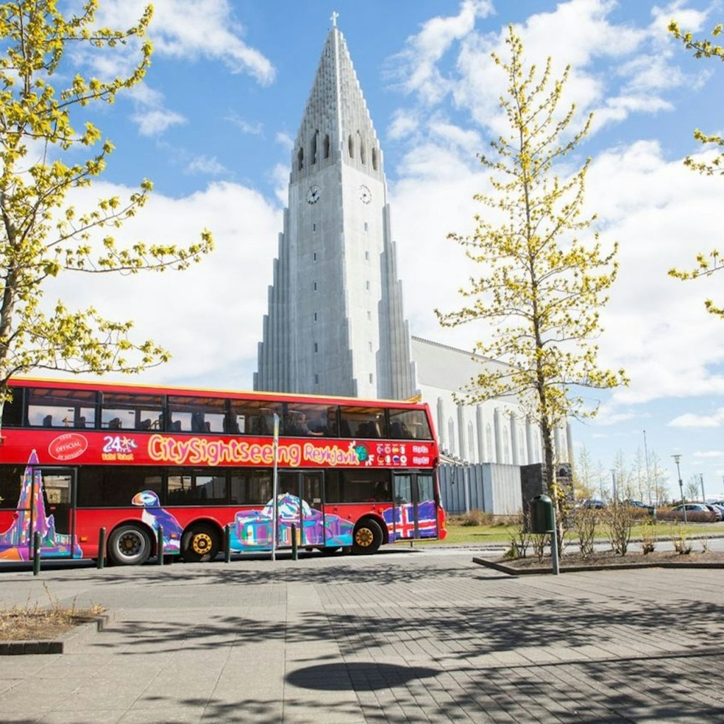 Círculo de Ouro: Day Trip de Reykjavik + Hop-On Hop-Off Bus - 1