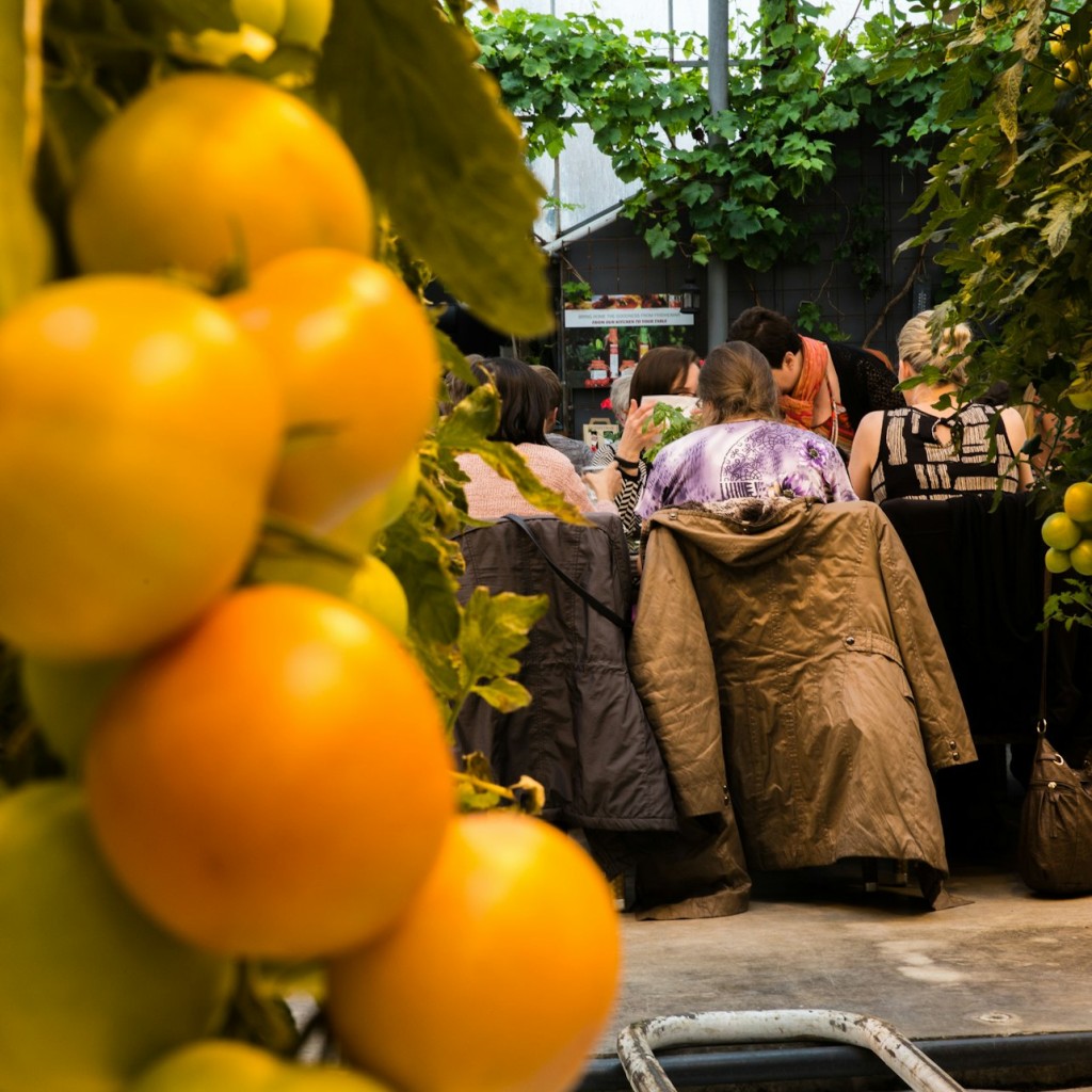 Golden Circle & Friðheimar Greenhouse: Roundtrip from Reykjavik - 3