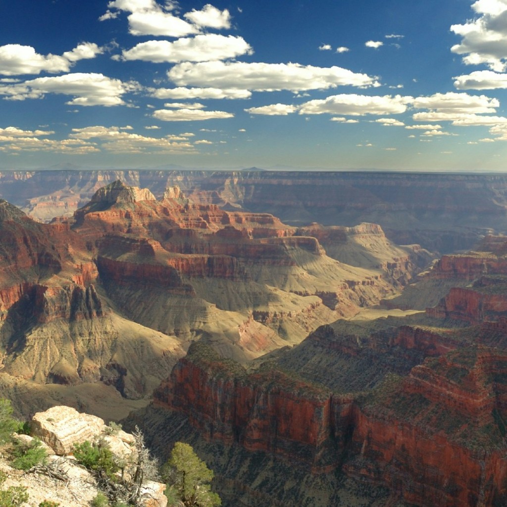 Grand Canyon: 45-Min. Aerial Tour by Airplane - 2