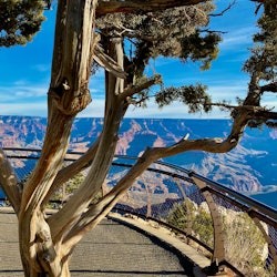 Grand Canyon National Park: Day Trip from Las Vegas with Lunch - 2