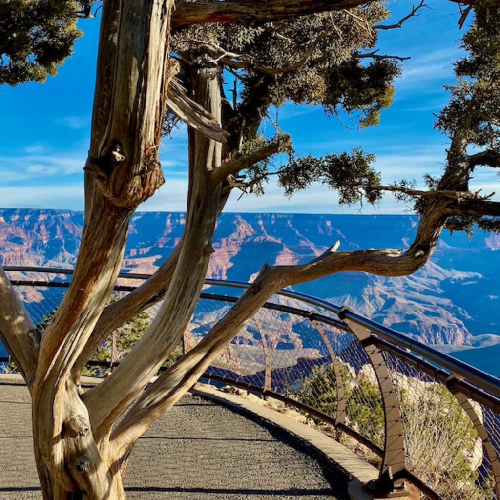 Grand Canyon National Park Tour from Las Vegas - 2