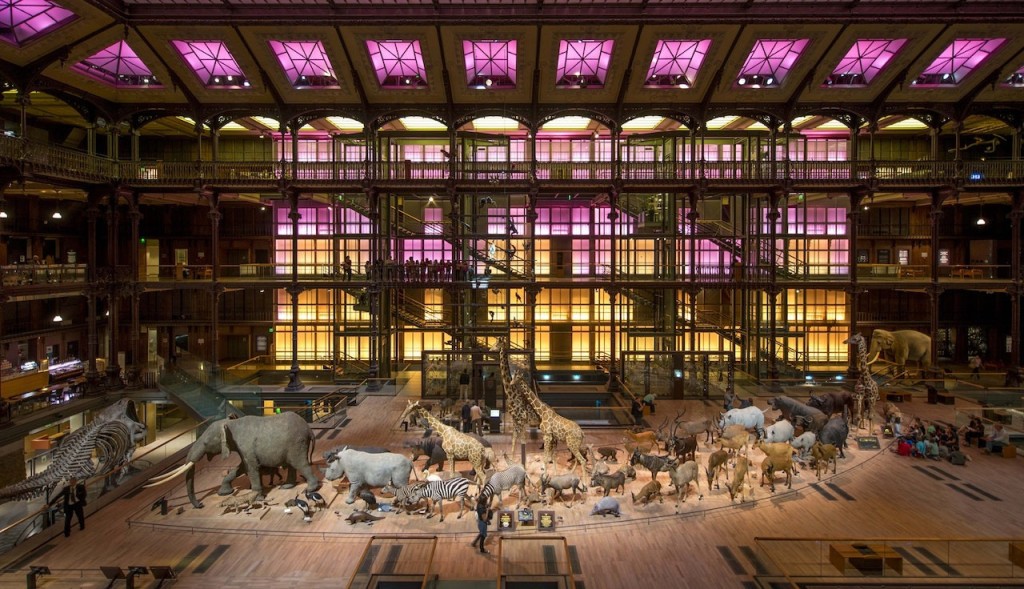 Grande Galerie de l'Évolution: Skip The Line (Permanent Collection + Deserts Exhibition) - 1