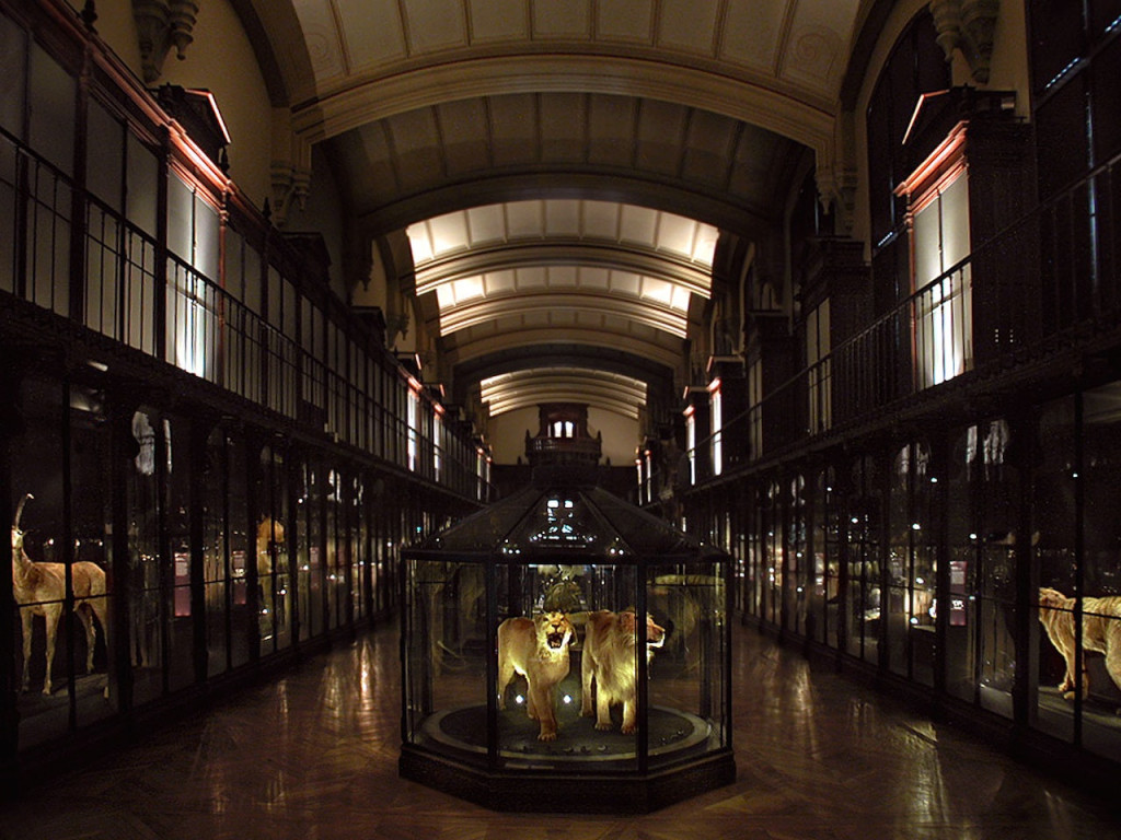 Grande Galerie de l'Évolution: Skip The Line (Permanent Collection + Deserts Exhibition) - 2
