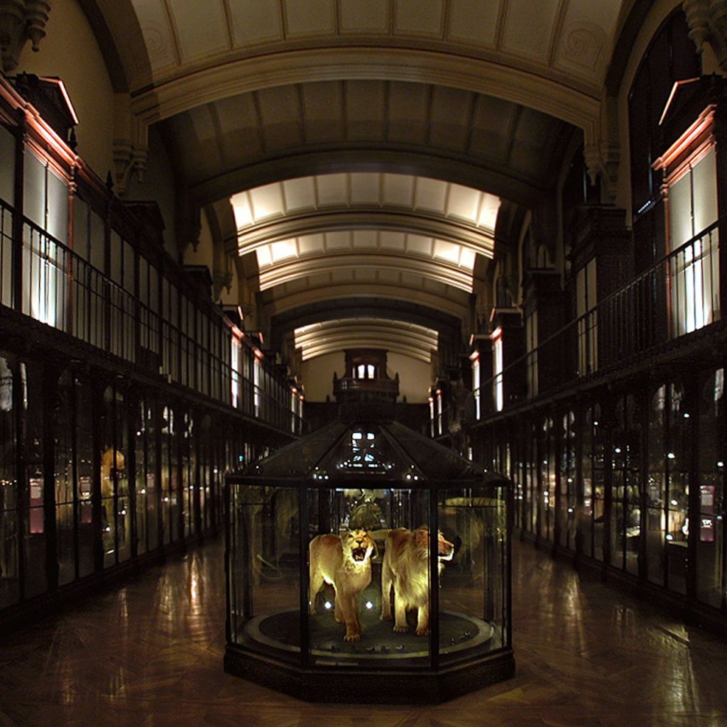 Grande Galerie de l'Évolution : Billet coupe-file - Permanent Collection + Temporary Exhibition - 2
