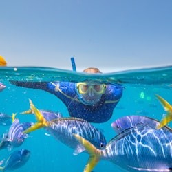 Grande Barriera Corallina: tour di 2 giorni in pontone su Reefsleep da Airlie + pasti - 3
