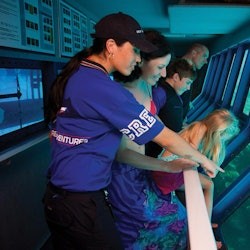 Great Barrier Reef Adventure - 1