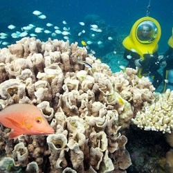 Great Barrier Reef Adventure - 2