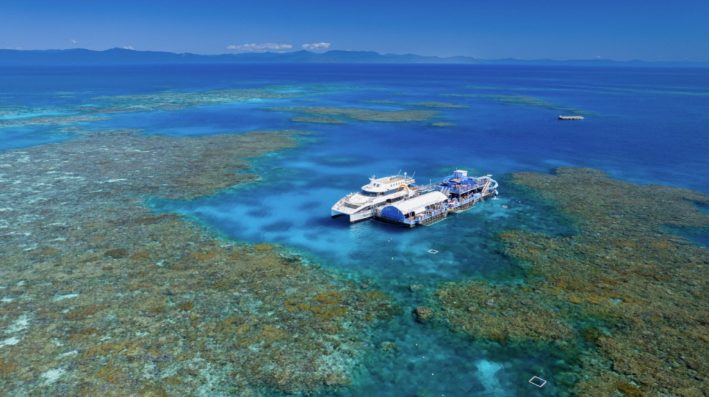 Great Barrier Reef Pontoon Full-Day Tour at Moore Reef (Full-Day Tour + Guided Snorkel Safari) - 1