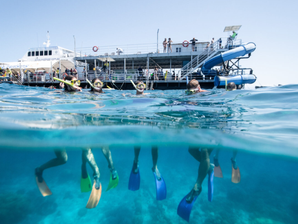 Great Barrier Reef Pontoon Full-Day Tour at Moore Reef (Full-Day Tour + Guided Snorkel Safari) - 2