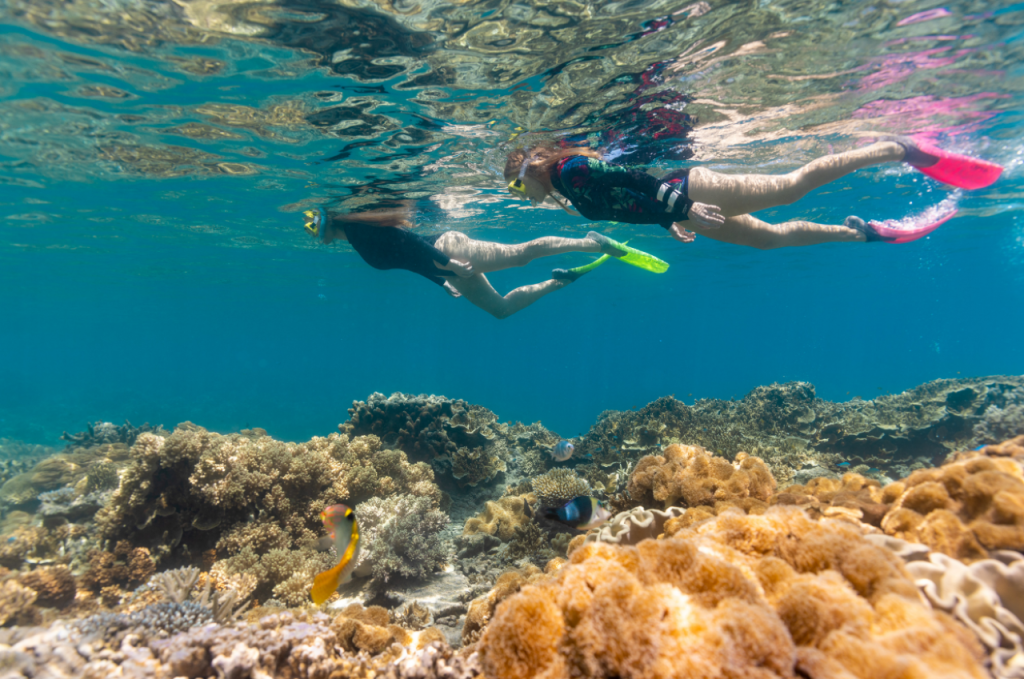 Great Barrier Reef Pontoon Full-Day Tour at Moore Reef (Full-Day Tour + Guided Snorkel Safari) - 3