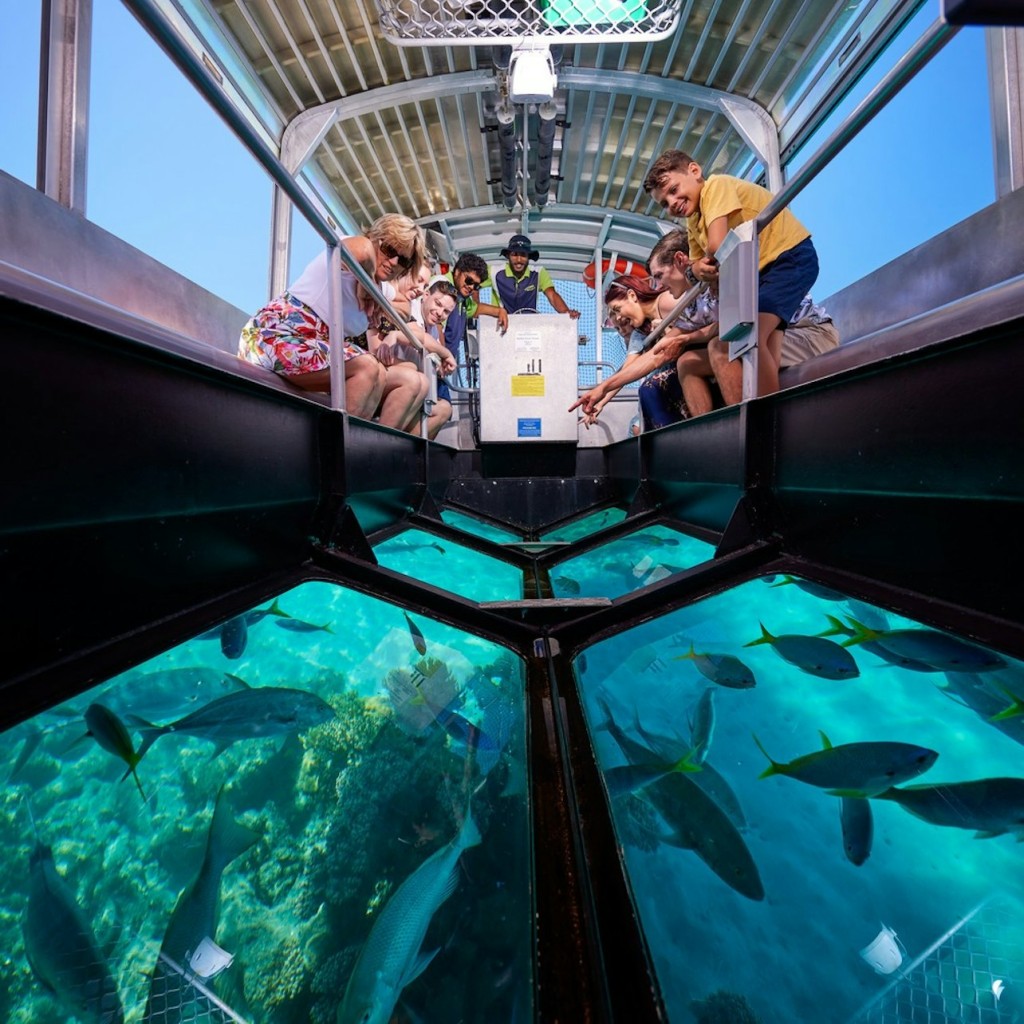 Green Island: Creuer d'un dia des de Cairns - 2