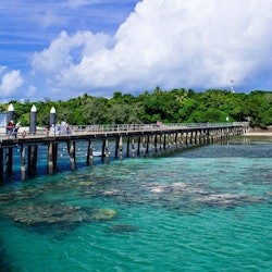 Green Island Ferry Transfer - 2