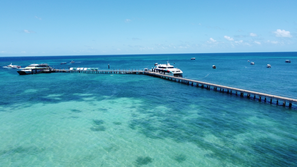 Green Island Reef Full-Day Cruise (Green Island Reef Full-Day Cruise with Semi-Submarine Tour (11:00 AM Departure)) - 1