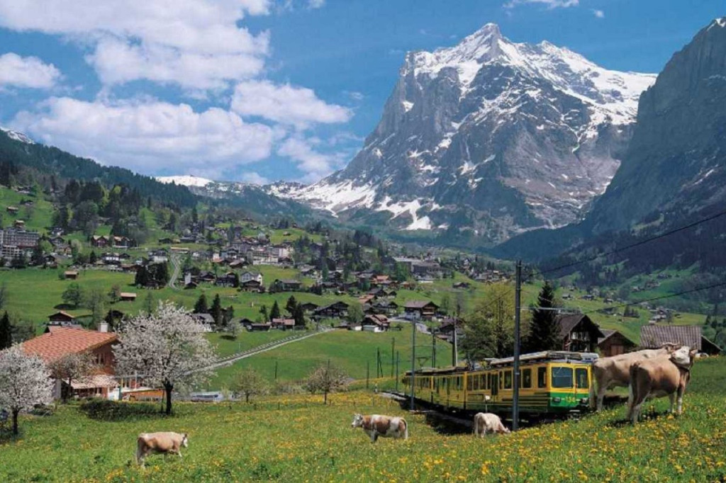 Grindelwald, Interlaken, and Lauterbrunnen Full-Day Tour (Grindelwald, Interlaken, and Lauterbrunnen Full-Day Tour from Lucerne) - 1