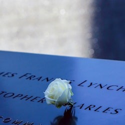 Visita guiada d'accés complet a la zona zero + Museu 9/11 + Observatori One World - 1