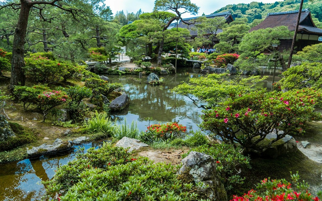 Geführte Tour durch die Burg Nijo und den Kinkaku-Ji-Tempel (Nijo Castle and Kinkaku-ji Temple Tour from Kyoto) - 3