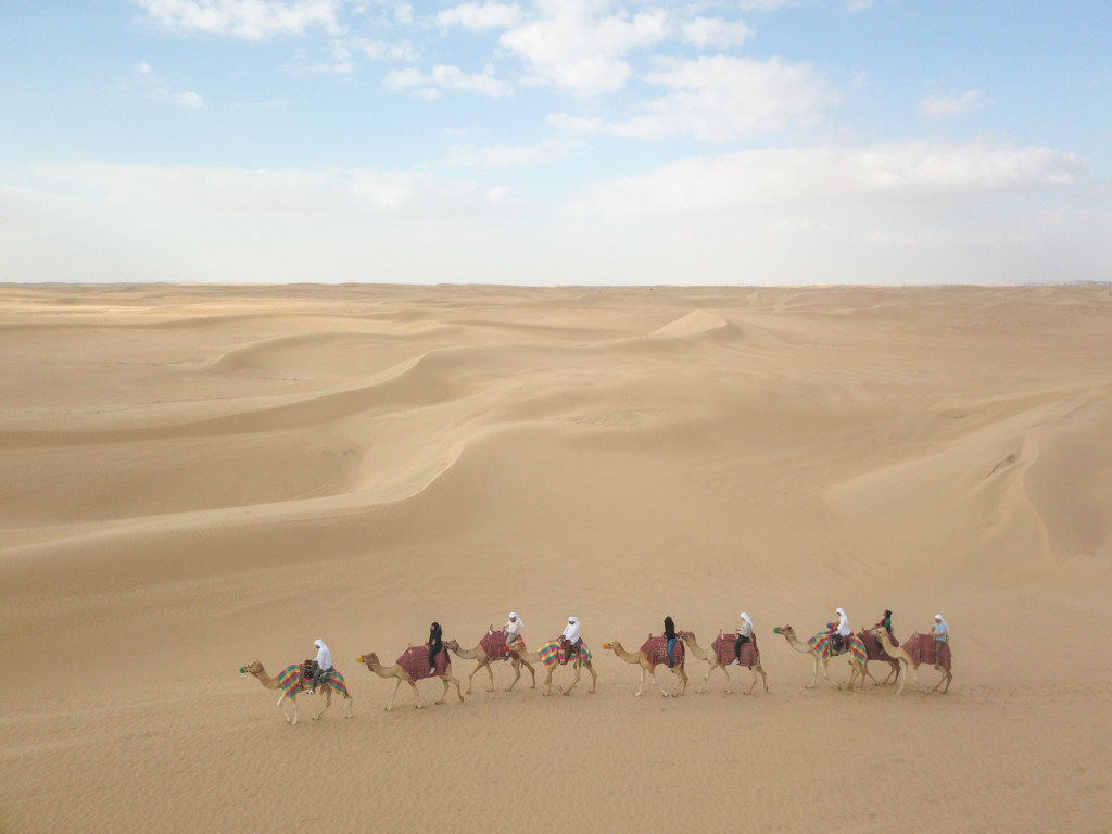Half-Day Desert Safari, Camel Ride with Refreshments (Afternoon Half-Day Desert Safari, Camel Ride with Refreshments) - 1