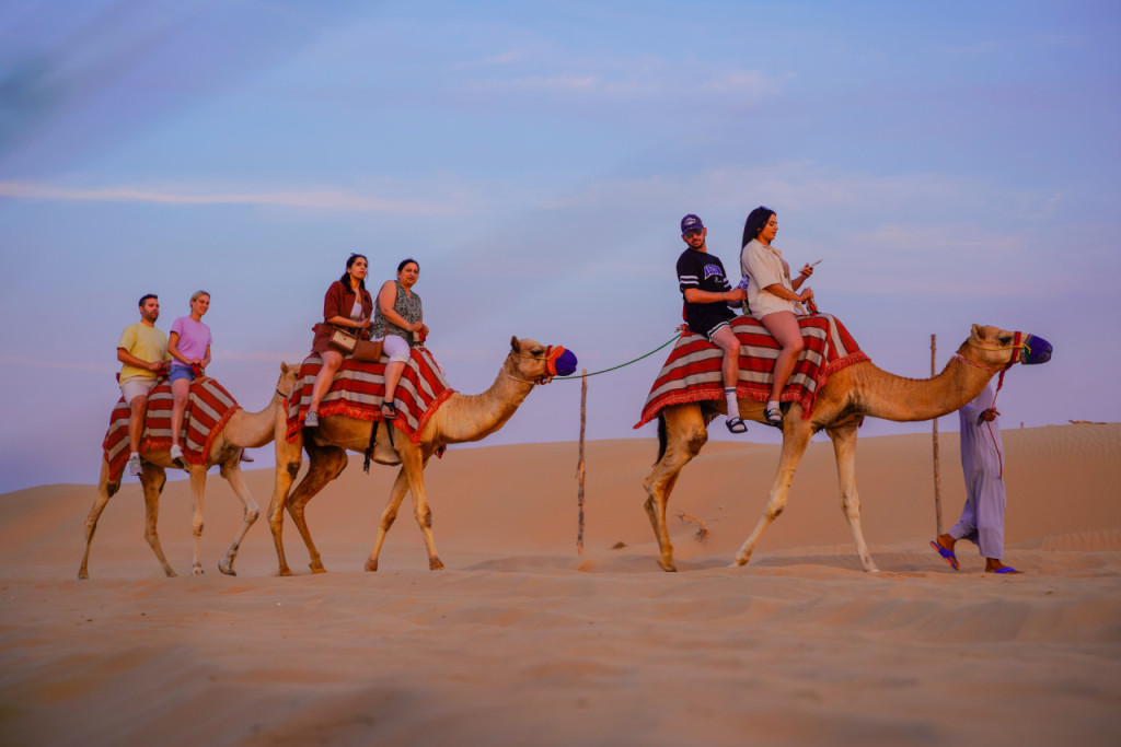 Half-Day Desert Safari, Camel Ride with Refreshments (Afternoon Half-Day Desert Safari, Camel Ride with Refreshments) - 2