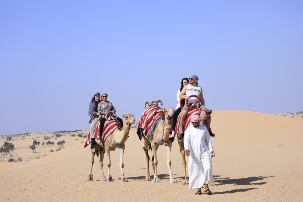 Half-Day Desert Safari, Camel Ride with Refreshments (Morning Half-Day Desert Safari, Camel Ride with Refreshments) - 3