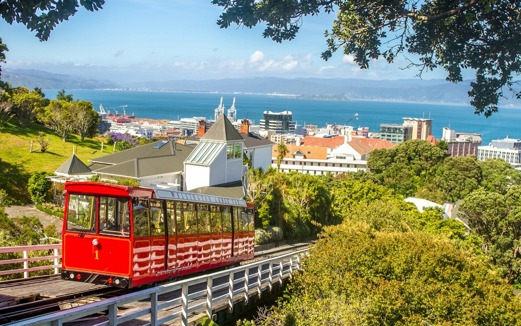 Tour guiado de medio día en grupo reducido por lo más destacado de Wellington (Half-Day Wellington Highlights Tour) - 2