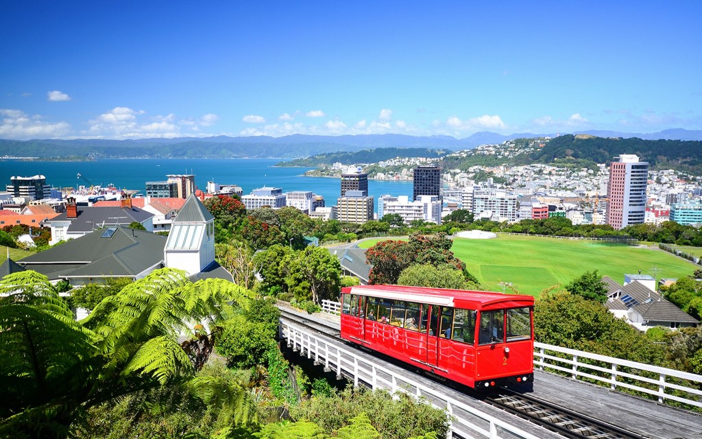 Tour guiado de medio día en grupo reducido por lo más destacado de Wellington (Half-Day Wellington Highlights Tour) - 3