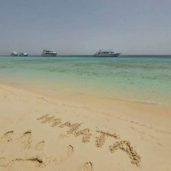 Hamata: Snorkeling + Roundtrip Transfer + Lunch - 3