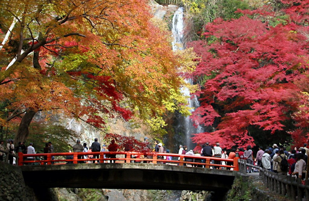 Hankyu One-Day Pass (Hankyu 1-Day Pass) - 1