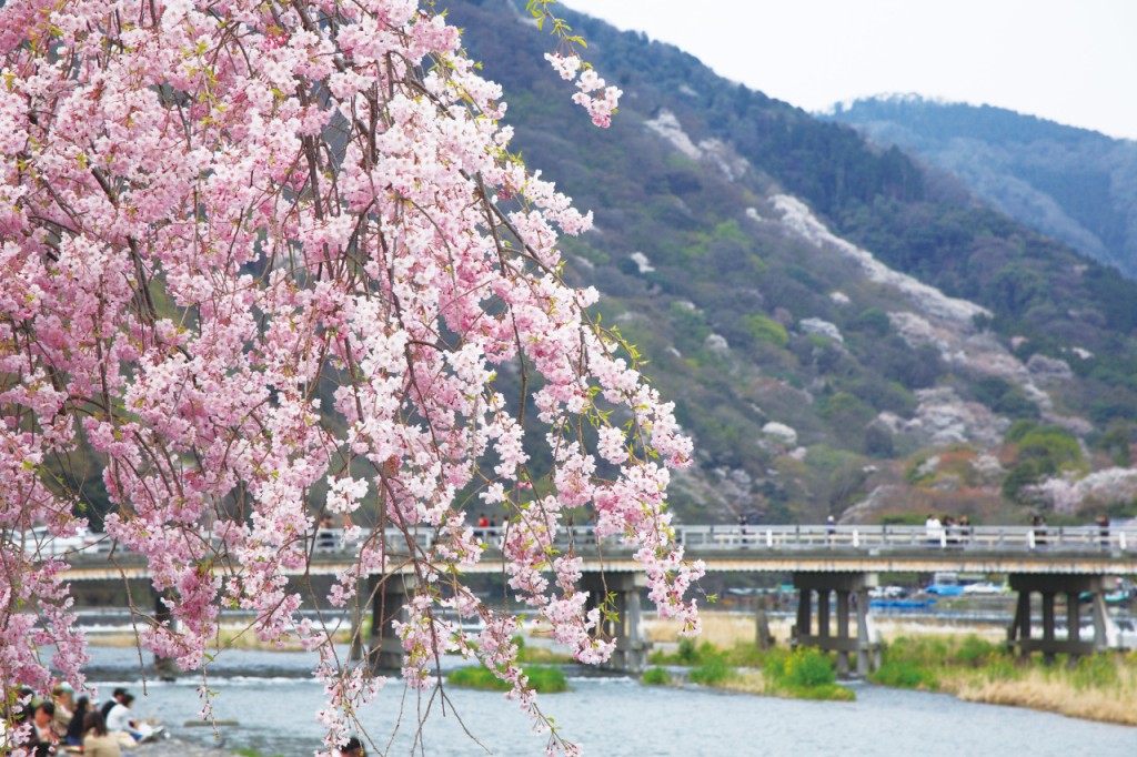 Hankyu One-Day Pass (Hankyu 1-Day Pass) - 2