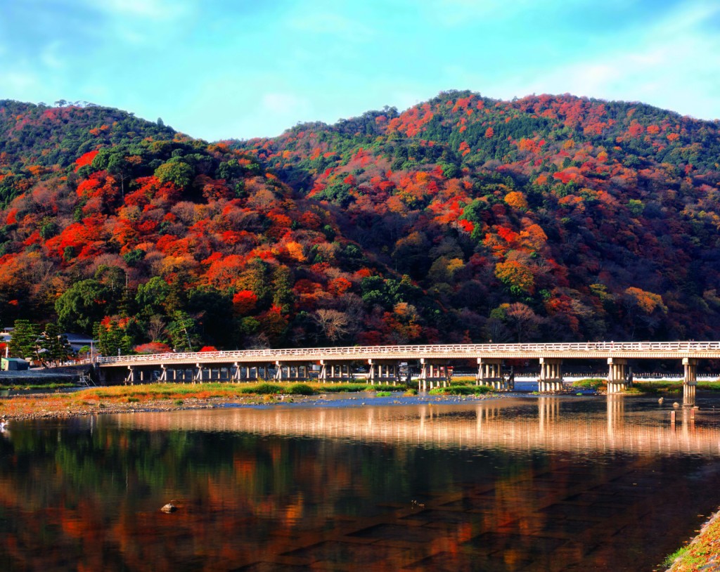 Hankyu One-Day Pass (Hankyu 1-Day Pass) - 3