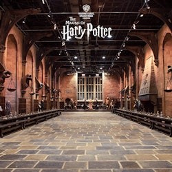 Harry Potter Warner Bros. Studio London: Entry + Train Transfer - 3