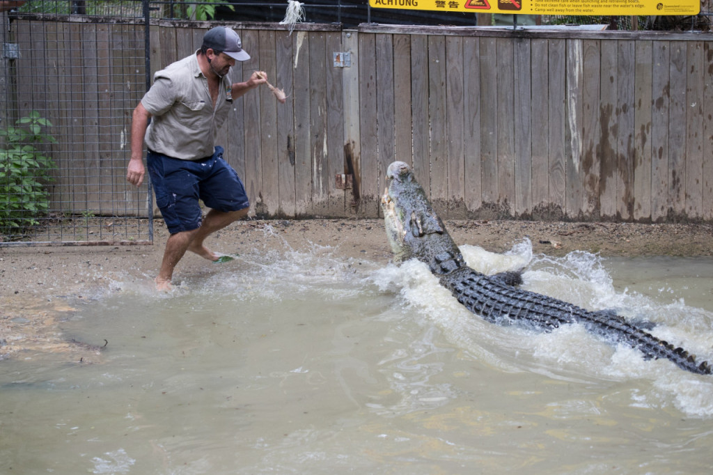 Hartley's Crocodile Adventures (Hartley's Crocodile Adventures - Admission) - 1