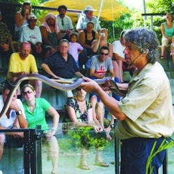 Hartley's Crocodile Adventures: Hartley's Koala Breakfast - 1