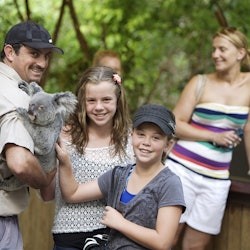 Hartley's Crocodile Adventures: Roundtrip from Cairns - 1