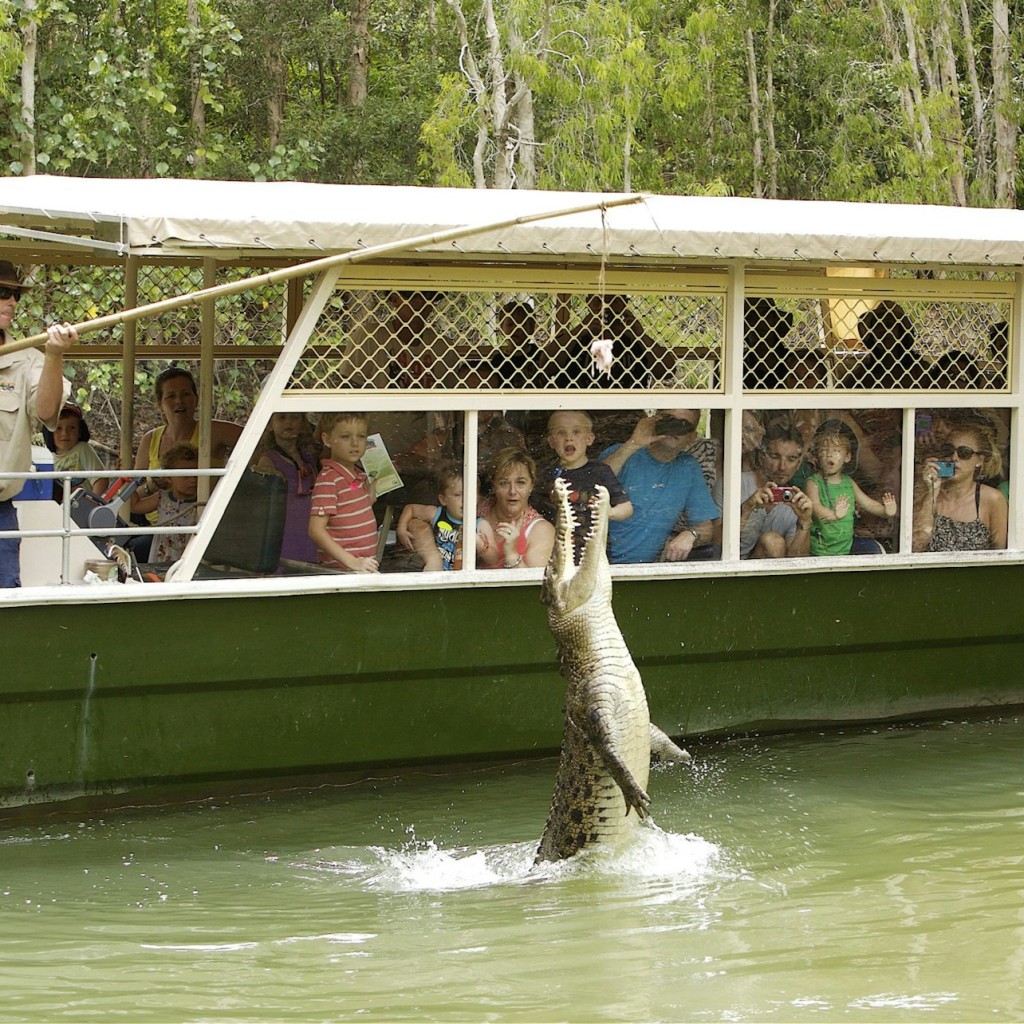 Hartley's Crocodile Adventures: Roundtrip from Cairns - 3