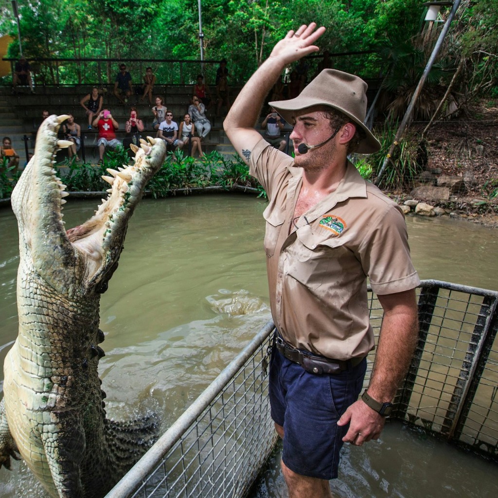 Hartley's Crocodile Adventures: Roundtrip from Cairns - 2