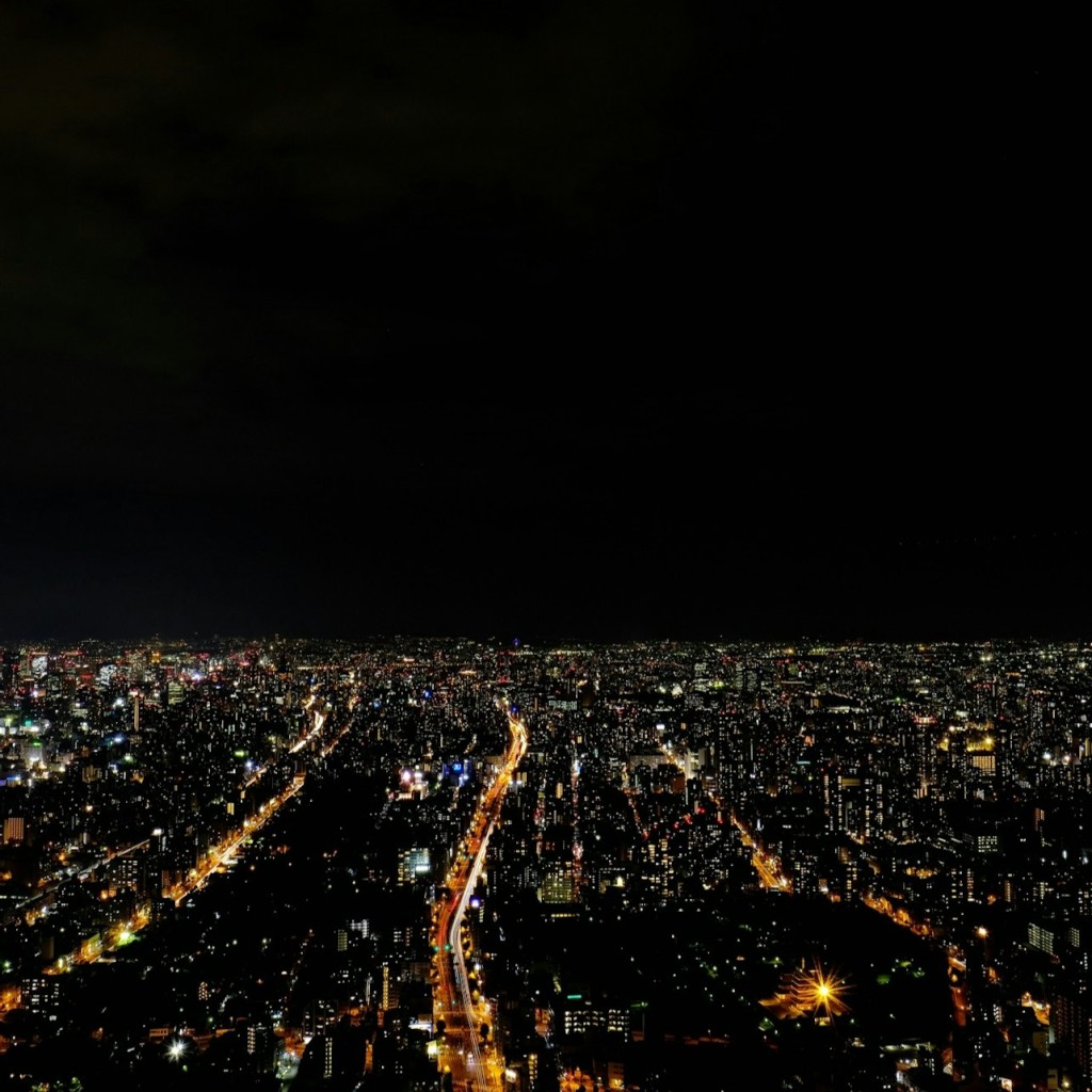Harukas 300 (Observatory): Entry Ticket - 1