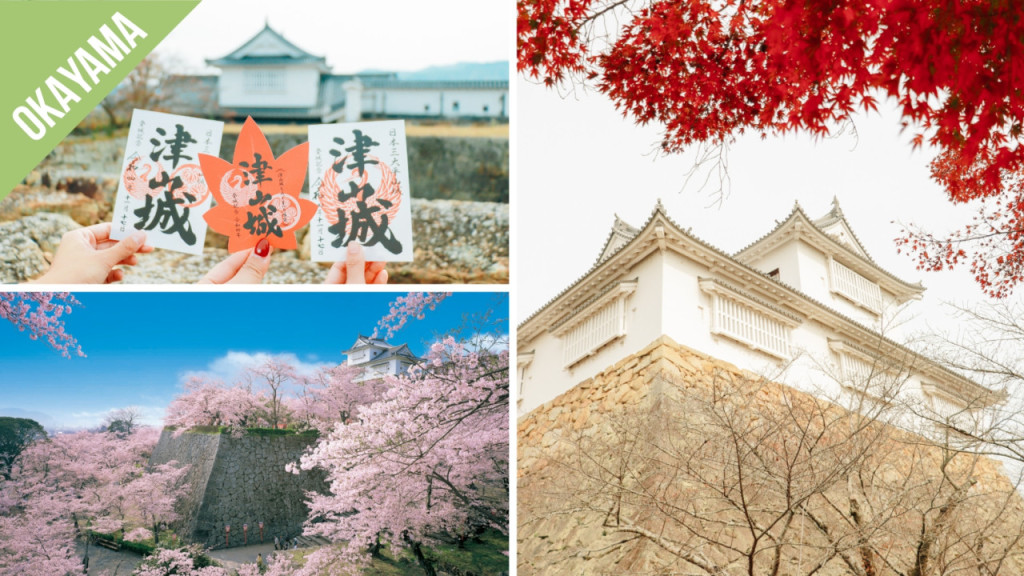 Have Fun in Okayama Pass - 1 Week Free Pass (Have Fun in Okayama Pass - 1 Week Free Pass (Select 3)) - 3