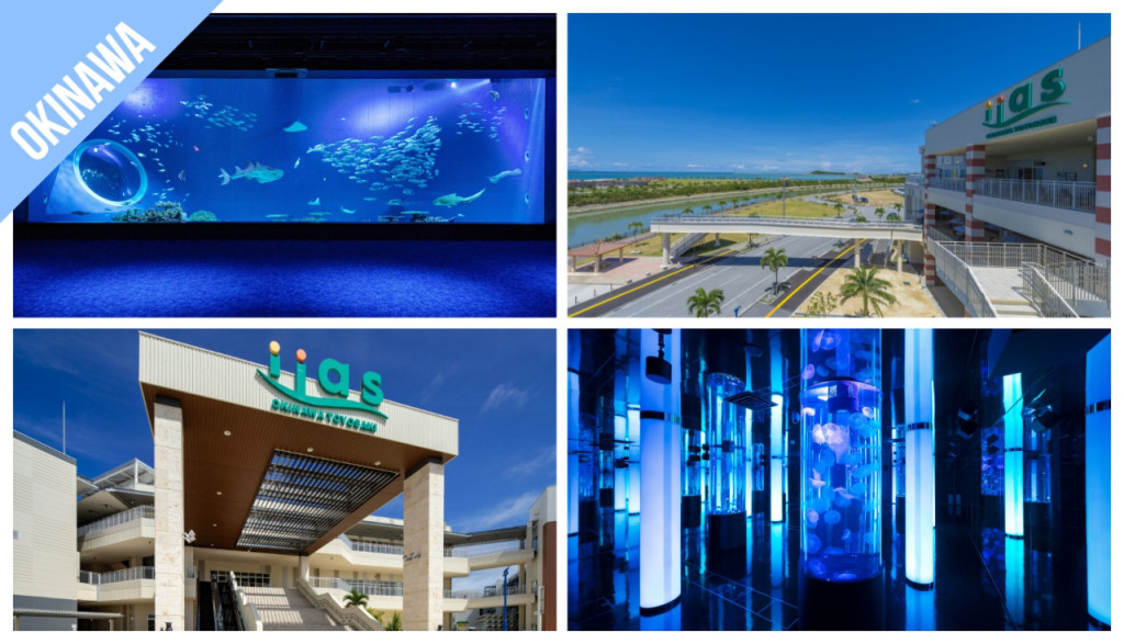 Have Fun in Okinawa Pass - 1 Week Free Pass (Have Fun in Okinawa Pass - 1 Week Free Pass (Select 3)) - 1