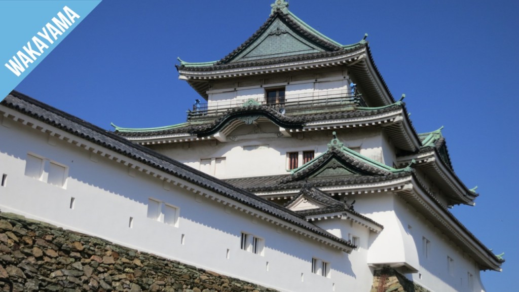 Have Fun in Wakayama Pass - 1 Week Free Pass (1 Week Free Pass (Select 3)) - 3