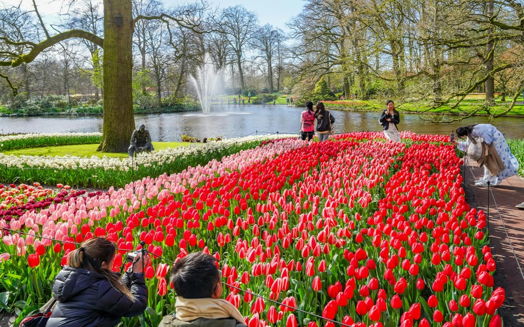 Keukenhof Entry Tickets (Entry Tickets + Transfers from Amsterdam) - 1