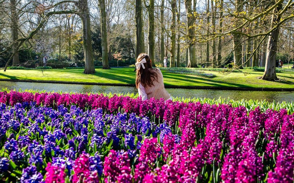 Keukenhof Entry Tickets (Entry Tickets + Transfers from Amsterdam) - 3