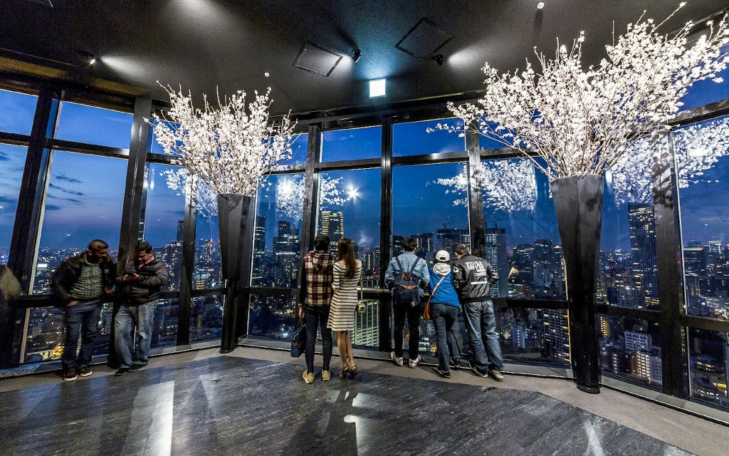 Entradas para la Torre de Tokio (Tokyo Tower Diamond Tour) - 3