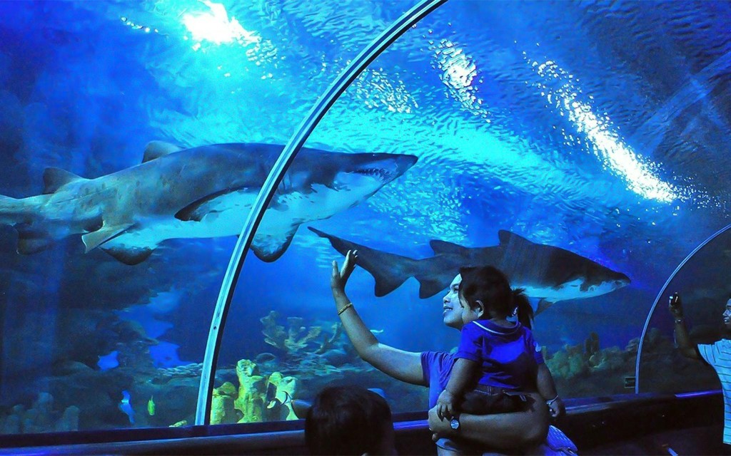 Aquaria KLCC Eintrittstickets (Admission Tickets) - 1