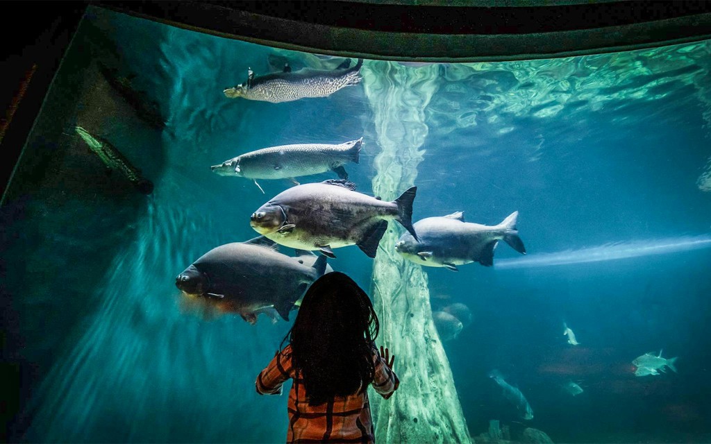Aquaria KLCC Eintrittstickets (Admission Tickets) - 2